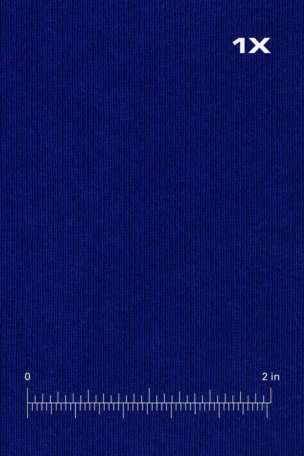 Blue Heavyweight Hoodie